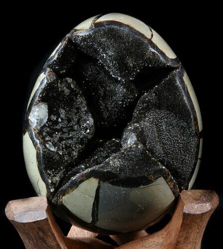 Septarian Dragon Egg Geode - Shiny Black Crystals #34707